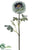 Ranunculus Spray - Aqua Antique - Pack of 6