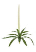 Silk Plants Direct Sword Spray 29" - Cream - Pack of 1