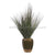 Silk Plants Direct Grass Plant - Green - Pack of 1