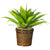 Silk Plants Direct Agave Plant - Green - Pack of 1