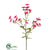 Sweet William Spray - Fuchsia - Pack of 12