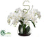 Silk Plants Direct Phalaenopsis Orchid - Cream - Pack of 1