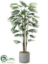 Silk Plants Direct Rhapis Palm Tree - Green - Pack of 1